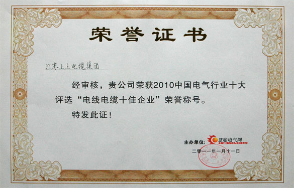 ag亚娱集团被评为“2010中国电线电缆十佳企业”