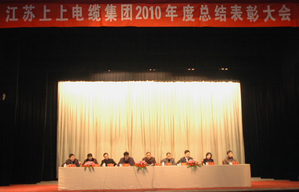 ag亚娱集团盛大召开2010年度总结表扬大会