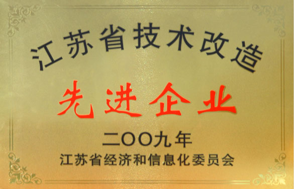 ag亚娱集团获“2009年江苏省手艺刷新先进企业”称呼