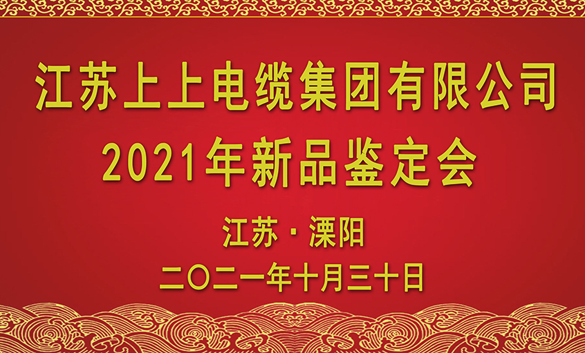 ag亚娱集团电缆十三项新品通过省级判断